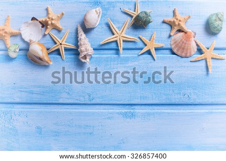 Different marine items on  blue background. Sea objects on wooden planks. Selective focus. Place for text. Toned image.