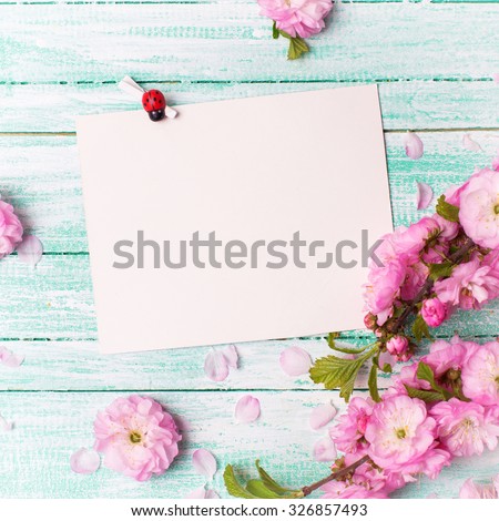 Postcard with empty tag for your text and fresh pink flowers on turquoise painted wooden planks. Selective focus is on tag. Square image.