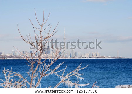 Toronto, Canada in the middle of a cold winter