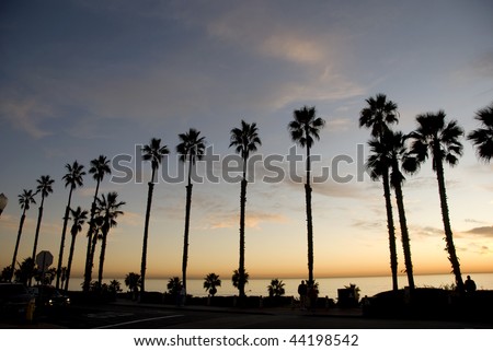 Beautiful ocean sunset with palm trees in California
