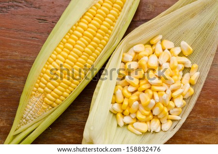 Ear of Corn and corn seed in leaf on wood table