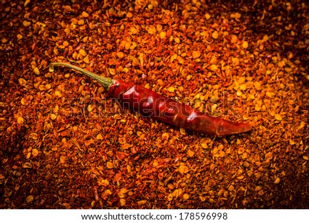 Dried chili on chili powder background
