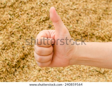 Hand with thumb up in front of dry rice seed stack
