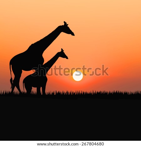 Silhouettes of giraffes against the sunrise