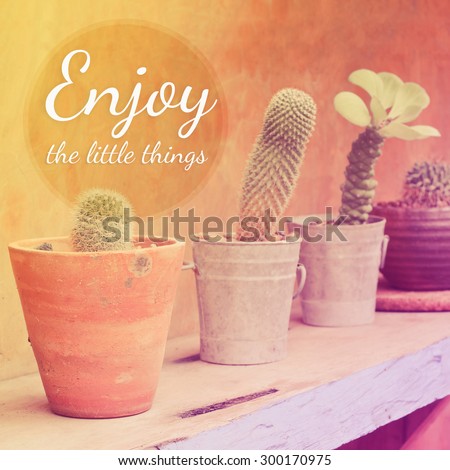 Inspirational Typographic Quote - Enjoy the little things