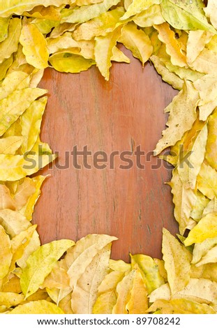 photo\'s frame made from dry yellow leaves