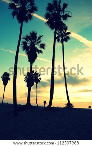 Venice Beach Sunset vintage retro cross processed colors. Tropical summer vacation and  travel concept