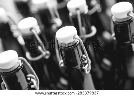 Craft beer bottles. Alcohol, brewing, beer and drinking concept. Black and white