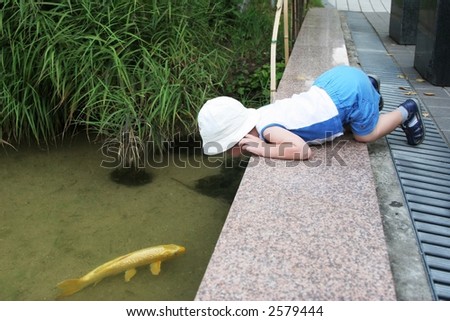 Small boy is looking at a gold fish