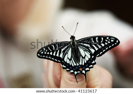 Butterfly sitting on a thumb and ready to fly away...