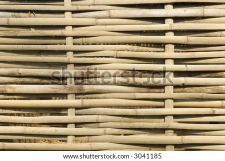 bamboo screen texture