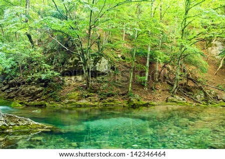Transparent blue mountain lake in dense wood