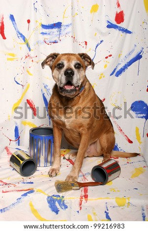 A big brown dog sits among empty paint cans in front of a paint splattered backdrop