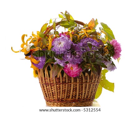 autumn basket with flowers and leaves isolated on white
