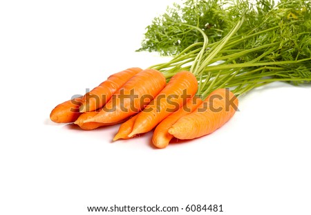 bunch of fresh carrot isolated  on white