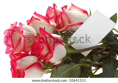 red and white rose bouquet. ouquet of red white roses