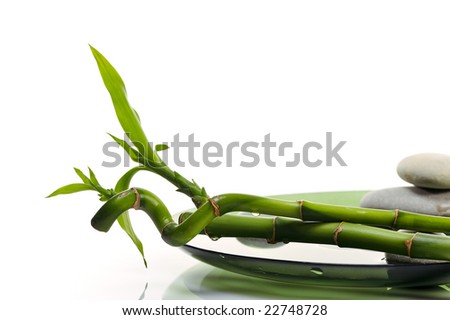 green sticks