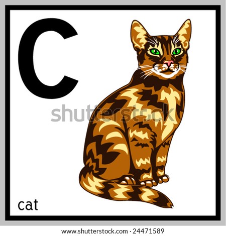 Letter C Cat
