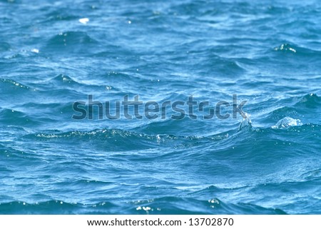 Pattern Sea