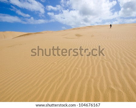 Man walking on the Giant Dune looks like a desert. Far North New Zealand.