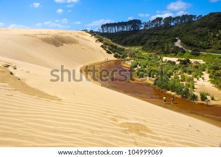 The Giant Dune looks like a desert. Far North New Zealand.