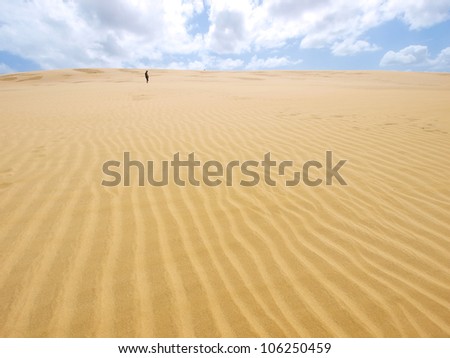 Man walking on the Giant Dune looks like a desert. Far North New Zealand.