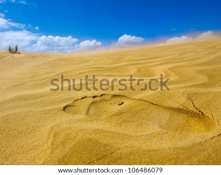 footprint on the Giant Dune looks like a desert. Far North New Zealand.
