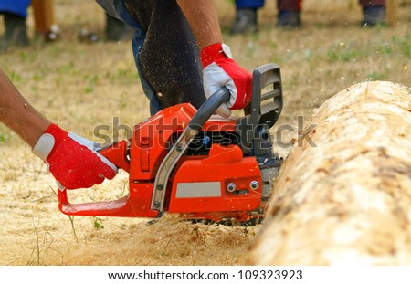 Sawdust flies as a man cuts a fallen tree into logs. A chainsaw in action