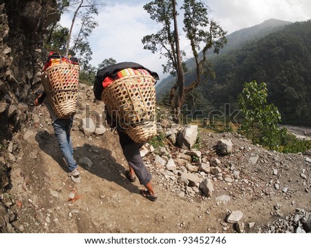 Annapurna, Nepal Porters carrying heavy load on his back