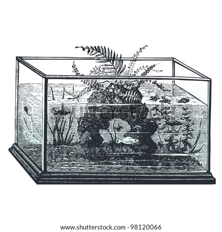 Aquarium - Vintage engraved illustration - \