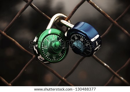 Pair of locks on a chain link fence/Locked in Love