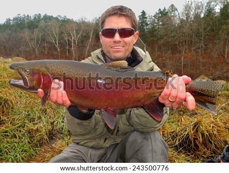 Trophy fish - a fly fisherman holding a huge colorful red record-sized Rainbow Trout, a fish related to salmon (salmonid)