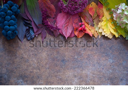 Autumn leaves and berries, Autumn background, Colors of Fall