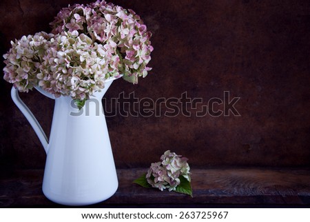 Dried hydrangea flowers
