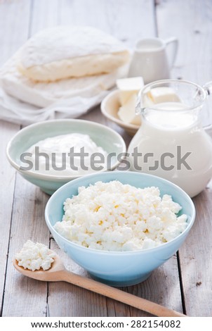 Organic Farming Cottage cheese in a blue bowl, sour cream, butter, cheese and milk