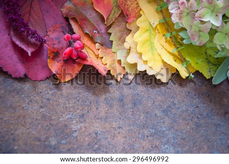 Autumn leaves and berries, Autumn background, Colors of Fall