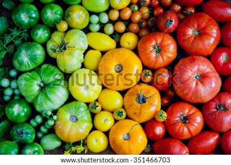 Fresh heirloom tomatoes background, organic produce at a Farmer\'s market. Tomatoes rainbow.