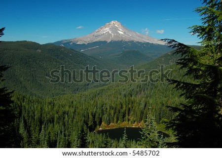 Mt. Hood surrounded by national forest land