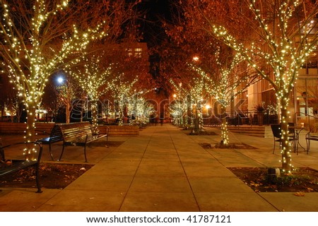 A sidewalk lined with trees and Christmas lights