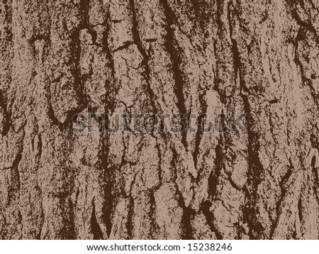 Tree Bark Illustration