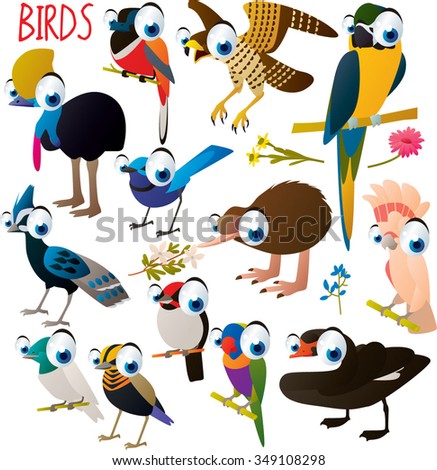 big vector set of funny comic cartoon animals: birds: cockatoo, macaw, parrot, kiwi, swan, pheasant, cassowary, falcon and others