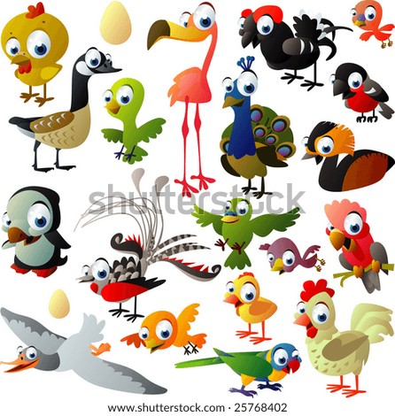 extra big set of birds extra big set of birds