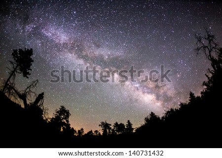 The Milky Way And Some Trees. In The Mountains Of San Diego County.