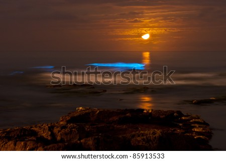 Bioluminescent tide (red tide) at La Jolla Cove glows under a crescent moon.