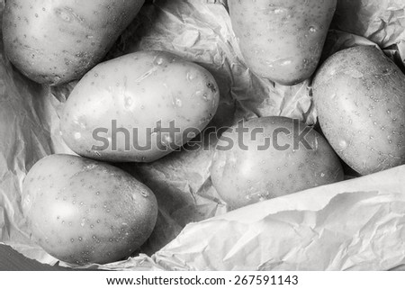 Fresh harvested potatoes spilling on a rough paper bag in black and white