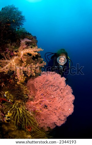 Woman diver behind big gorgon and soft coral. Indonesia Sulawesi Lembehstreet