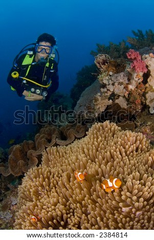 Woman diver behind big anemone and soft coral. Indonesia Sulawesi Lembehstreet