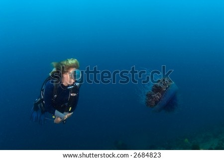 Woman diver looking at big jellyfish. Indonesia Sulawesi Lembehstreet