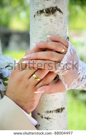 Bride and groom showing their wedding rings and holding their hands on a birch tree