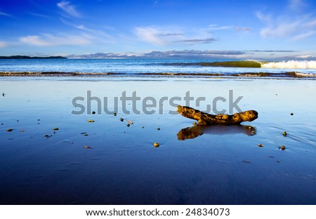 Nz Beach Scene